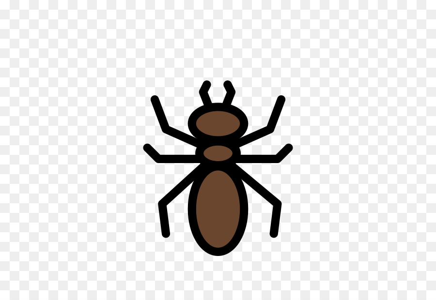 Serangga，Semut PNG