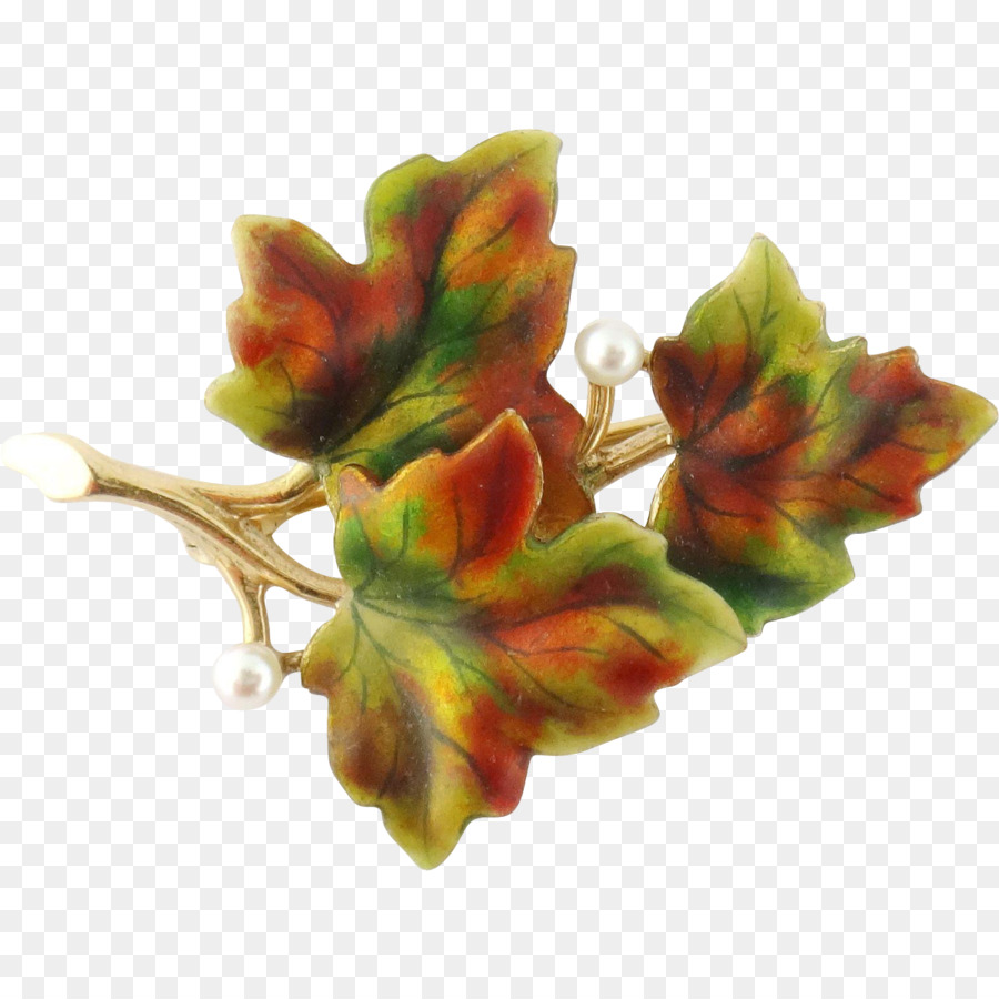 Daun，Orange PNG