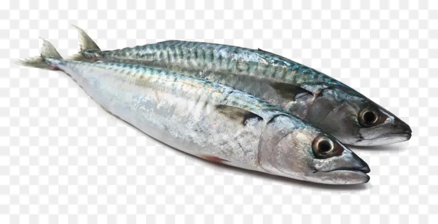 Ikan，Produk Ikan PNG