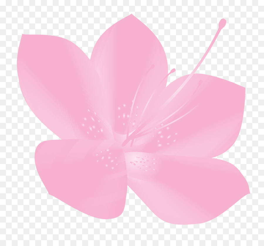 Pink，Kelopak PNG