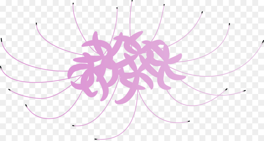 Pink，Ungu PNG