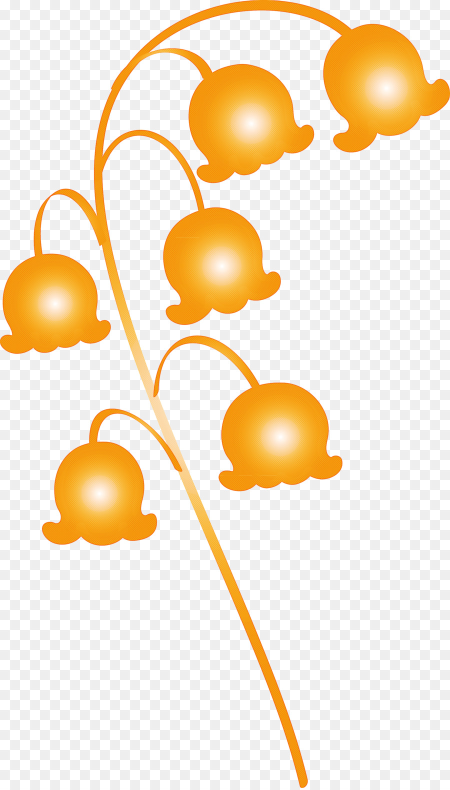 Kuning，Orange PNG