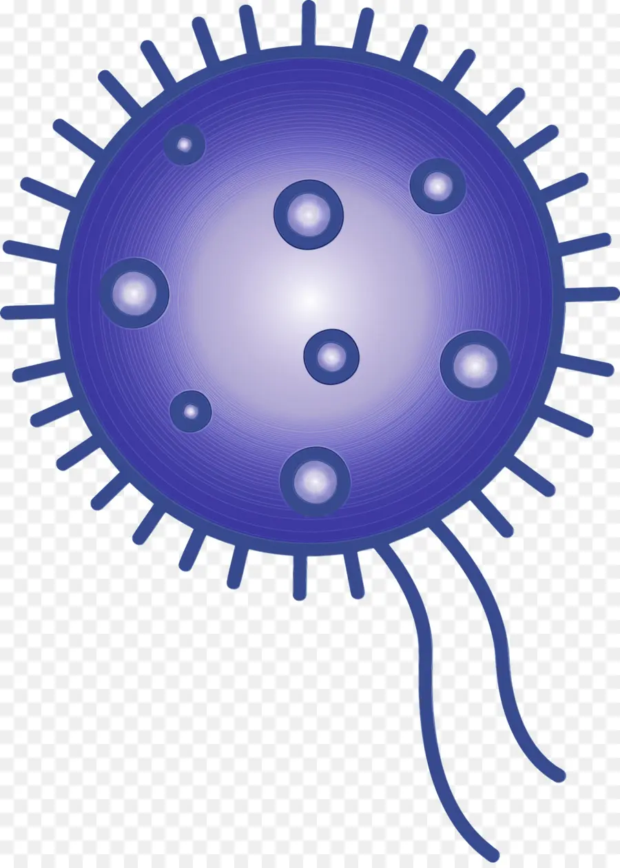 Virus Biru，Bakteri PNG