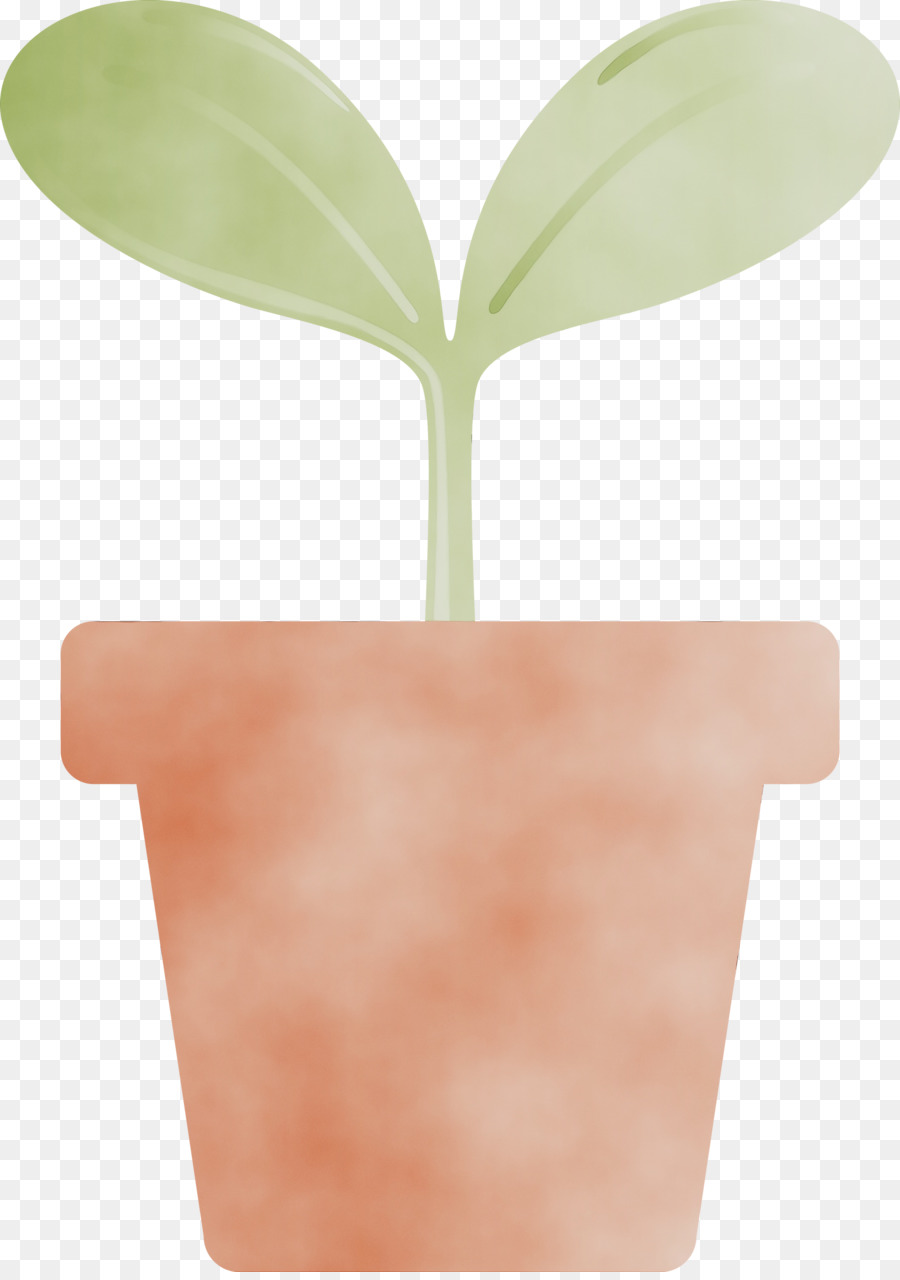 Pot Bunga，Daun PNG