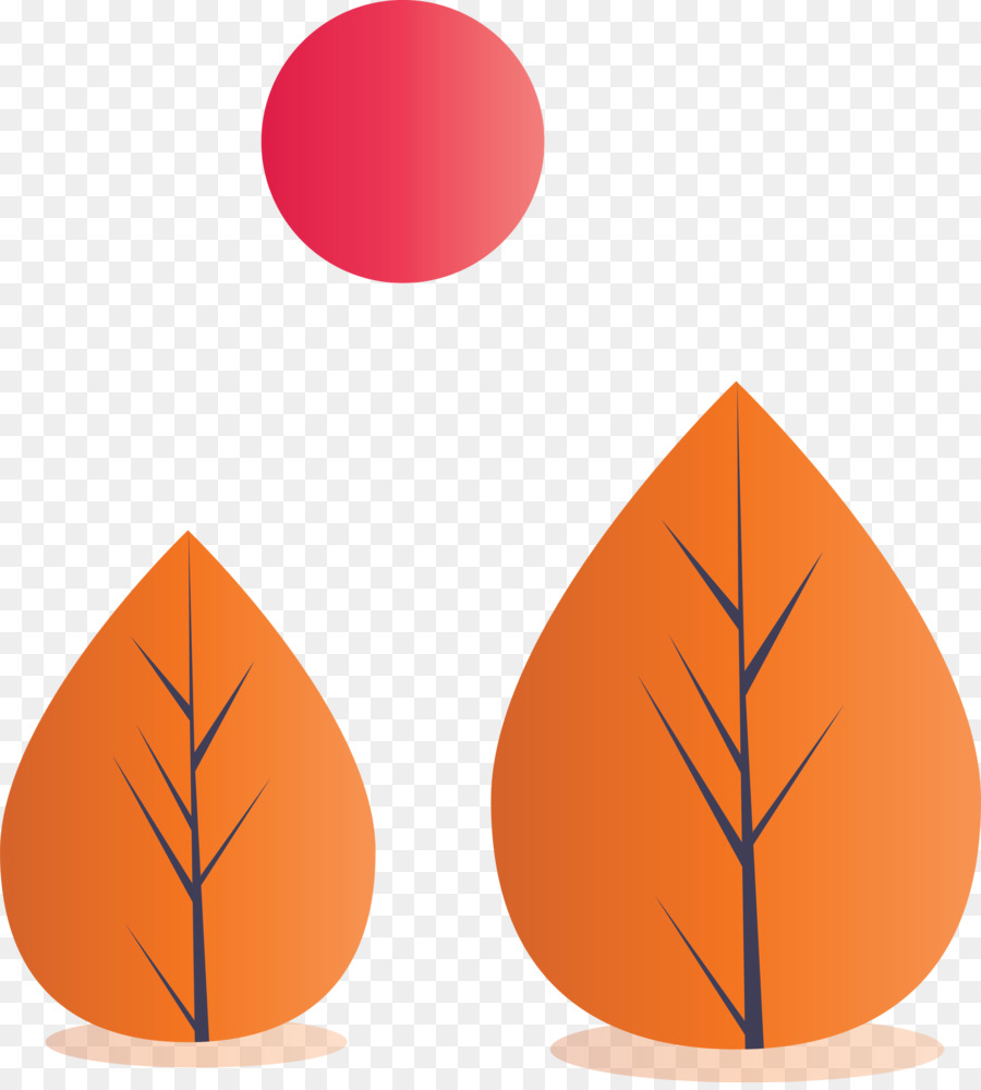 Orange，Daun PNG