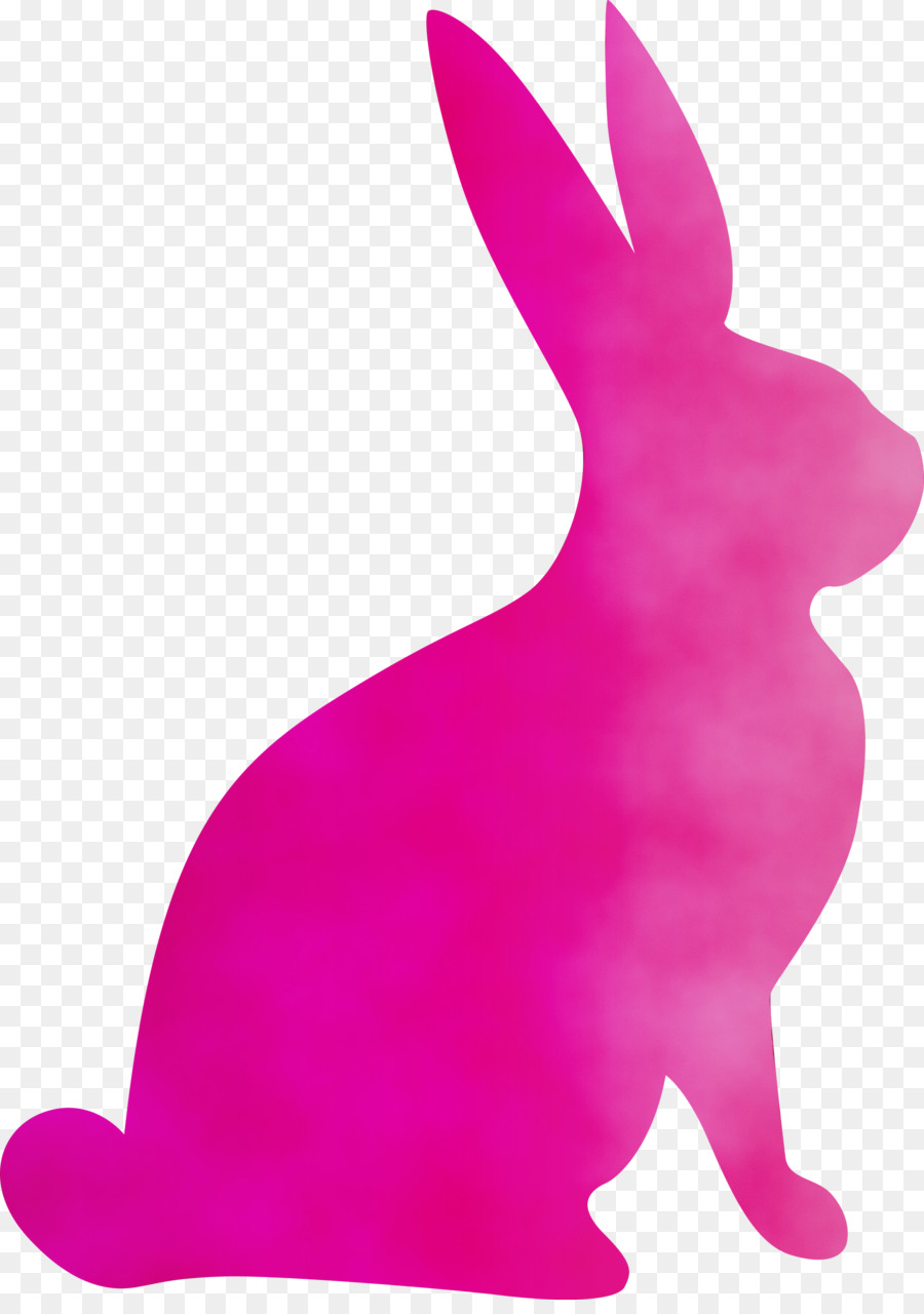 Pink，Kelinci PNG