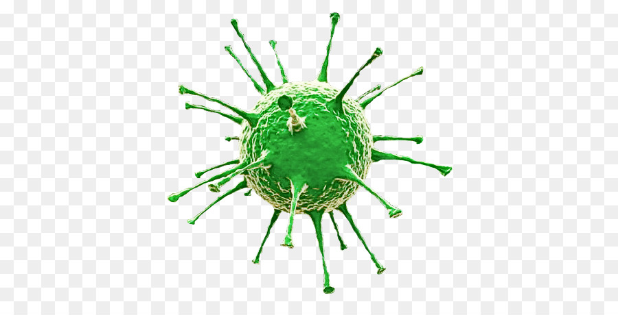 Virus，Patogen PNG