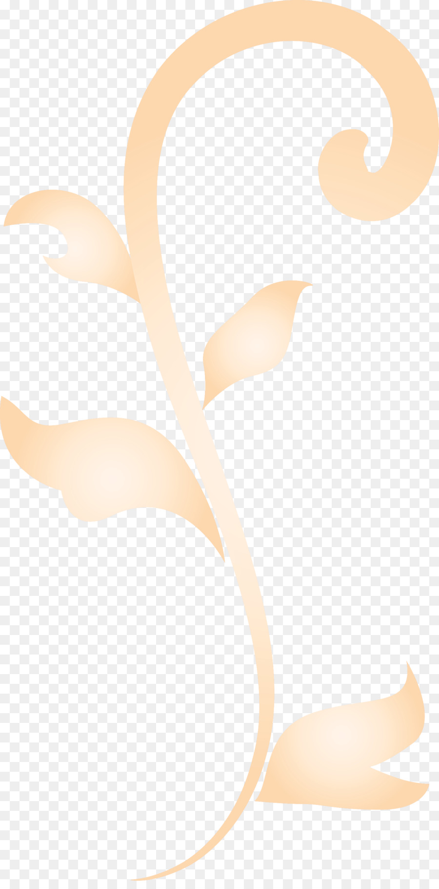 Daun，Krem PNG