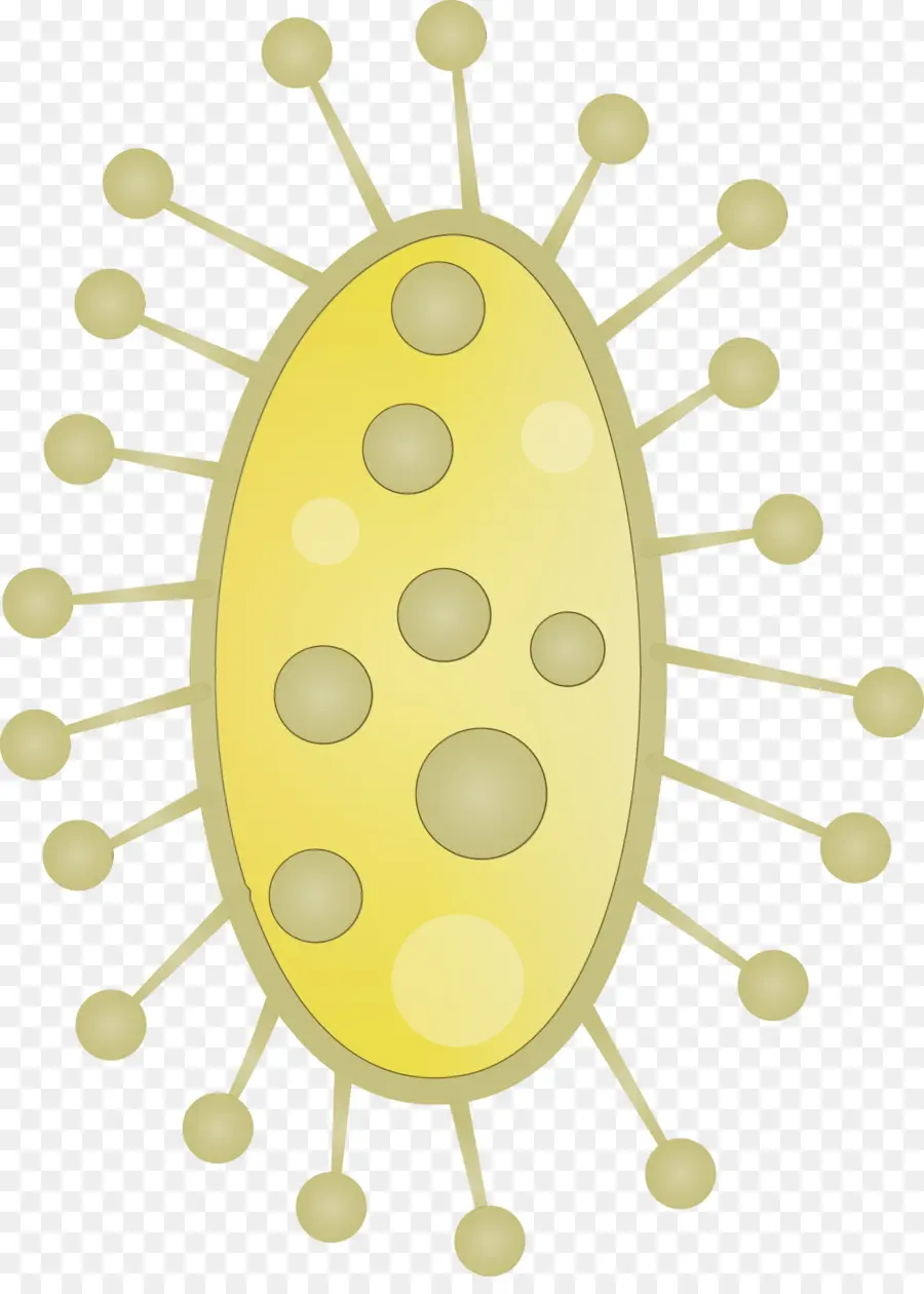 Bakteri Kuning，Kuman PNG