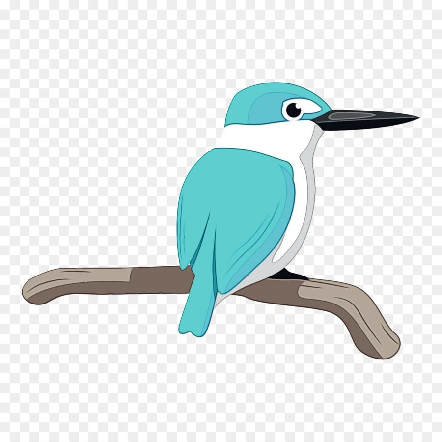 Blue Bird，Bulu PNG