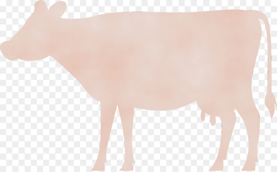 Sapi，Hewan PNG