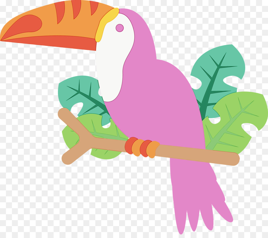 Macaw，Toucans PNG