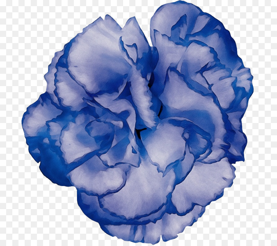 Mawar Biru，Bunga Potong PNG