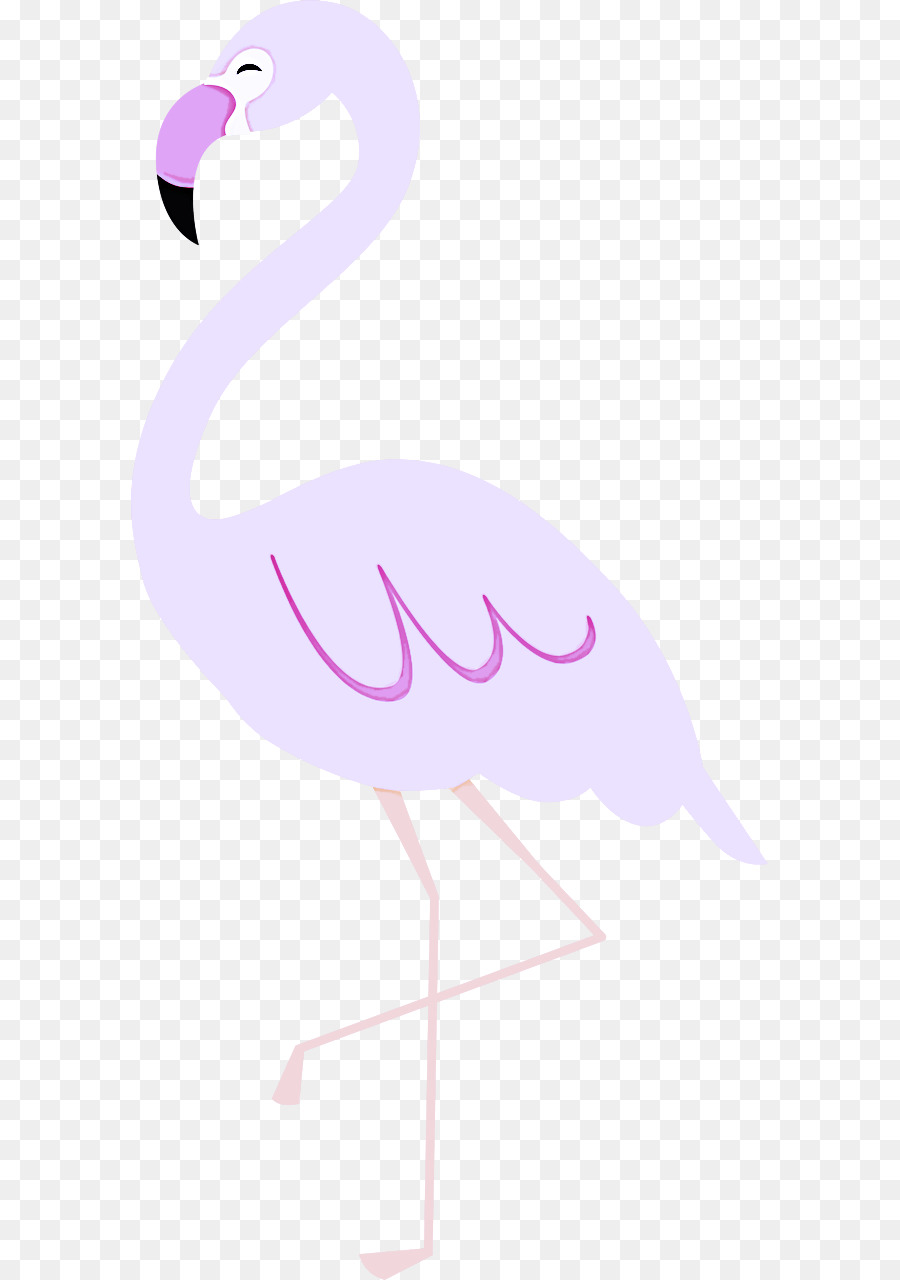 Flamingo M，Paruh PNG