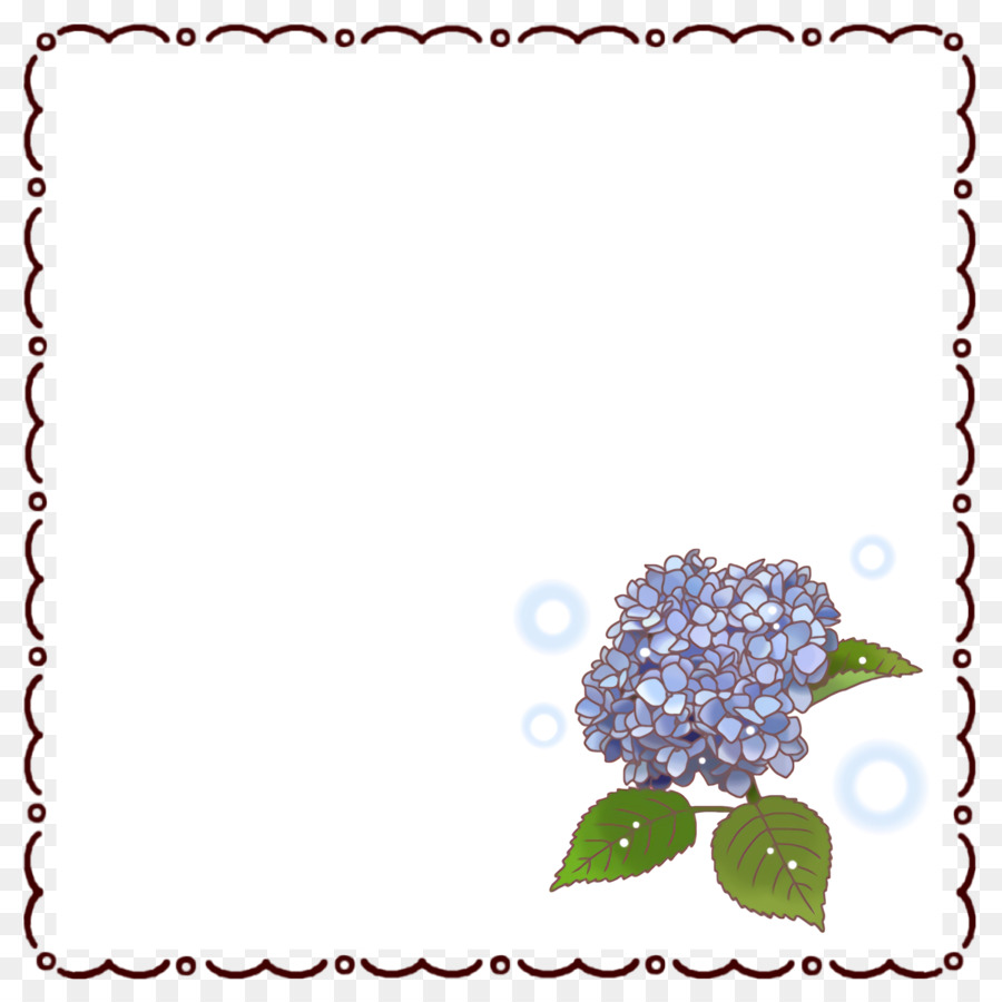 Hydrangea Biru，Daun Daun PNG