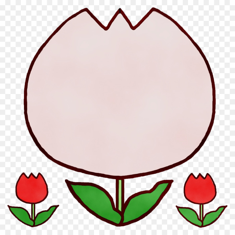 Tulip Merah Muda，Mekar PNG