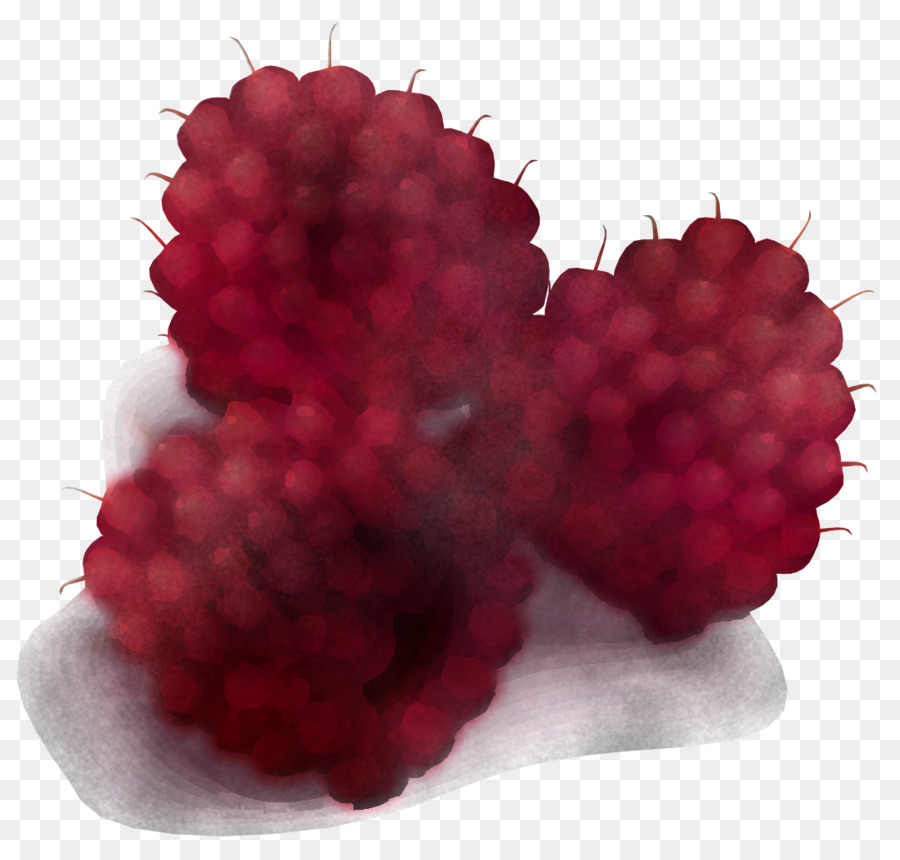 Raspberry Merah，Buah Beri PNG