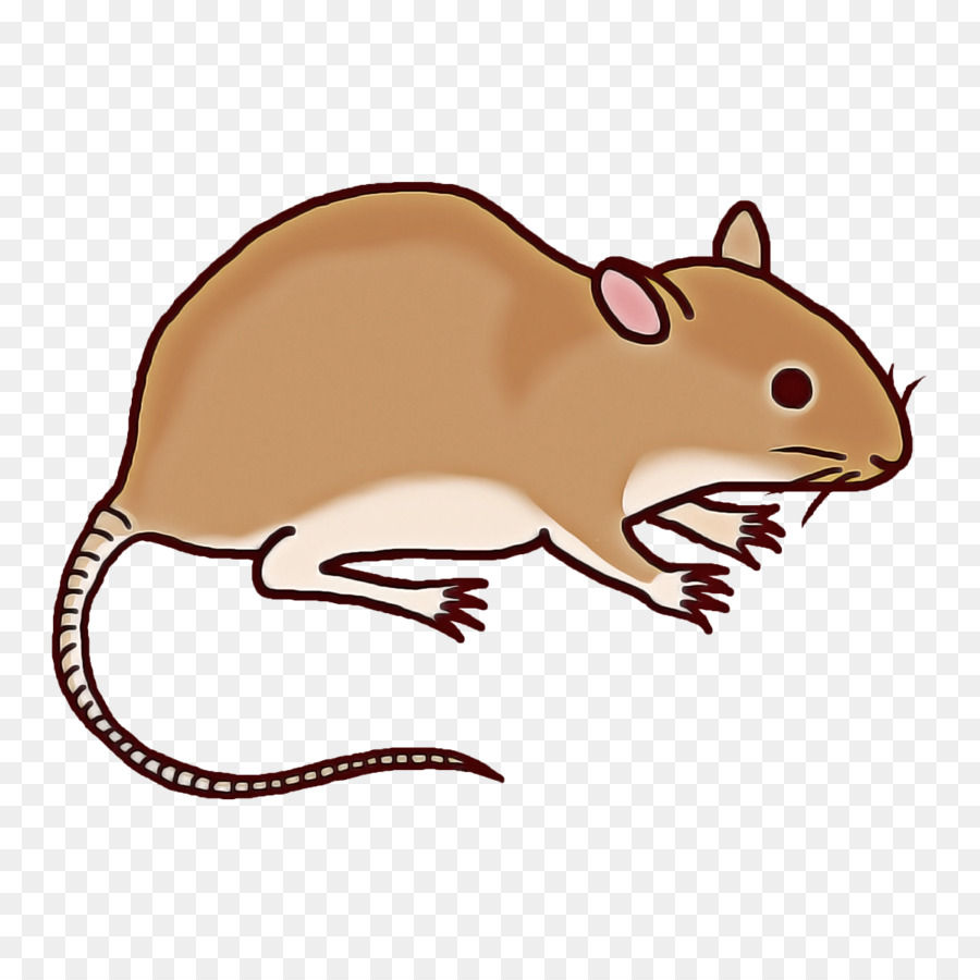 Mouse，Hewan Pengerat PNG