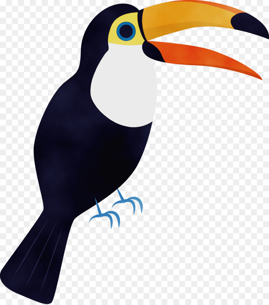 Burung Puffin，Burung Laut PNG