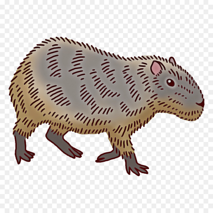 Gambar, Kartun, Tikus gambar png