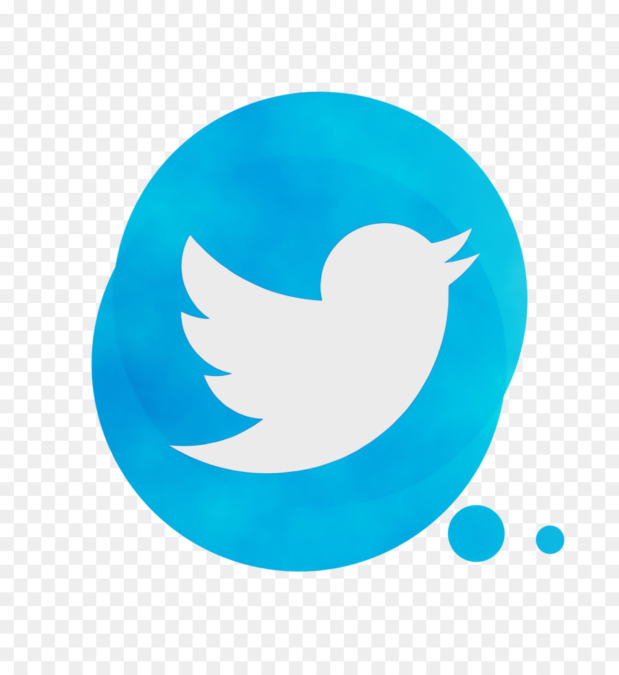 Logo Twitter，Media Sosial PNG