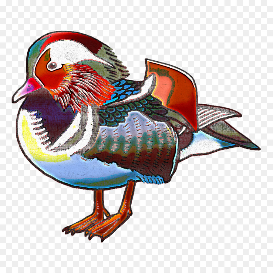 Burung，Bebek PNG
