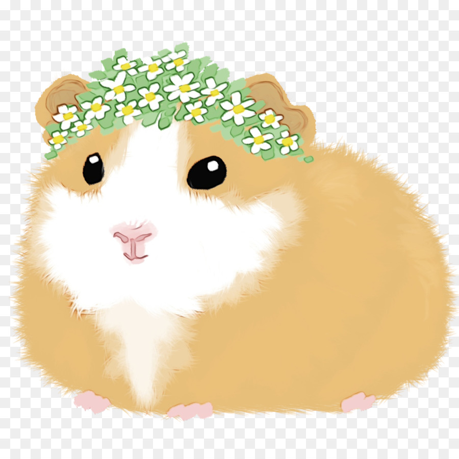 Hamster, Kumis, Kucing gambar png