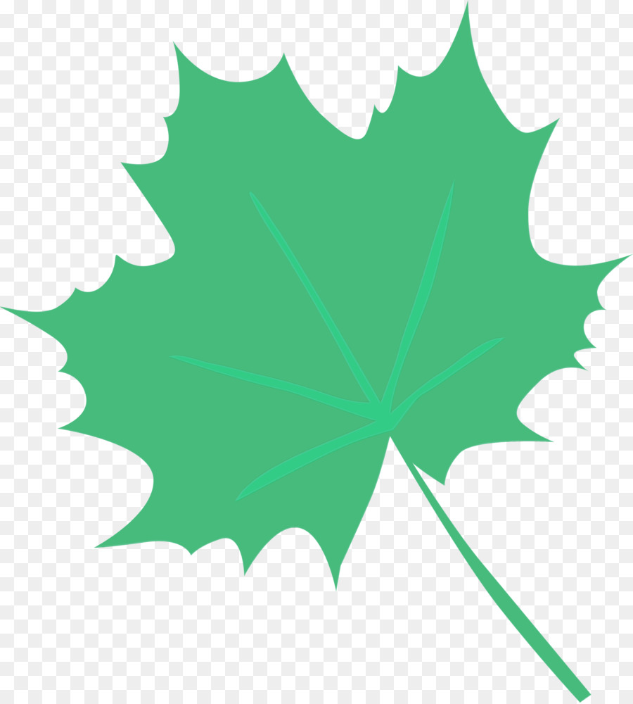 Daun Maple，Cricut PNG