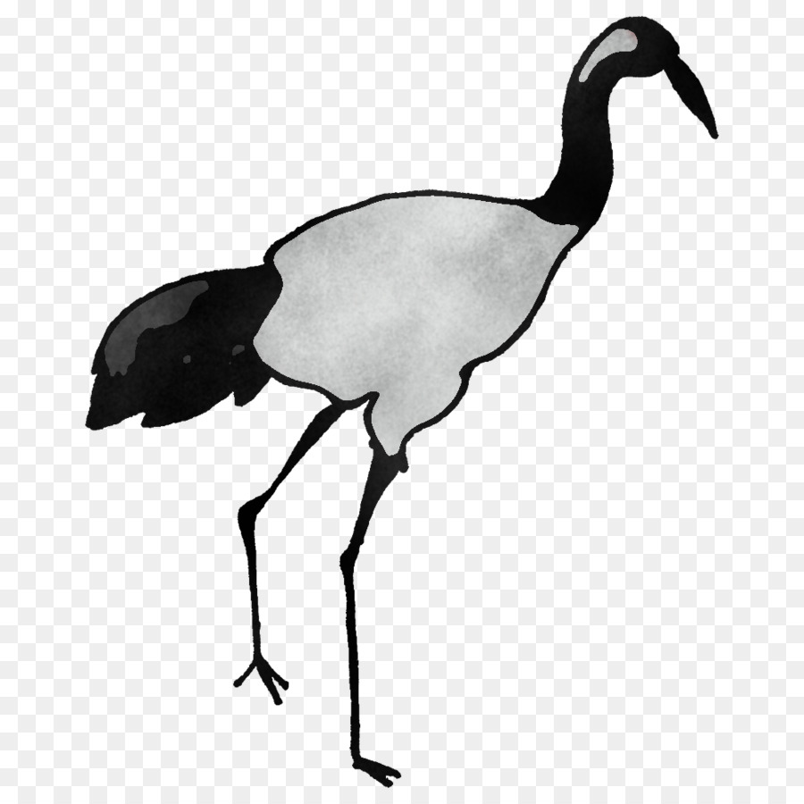 Crane，Burung PNG