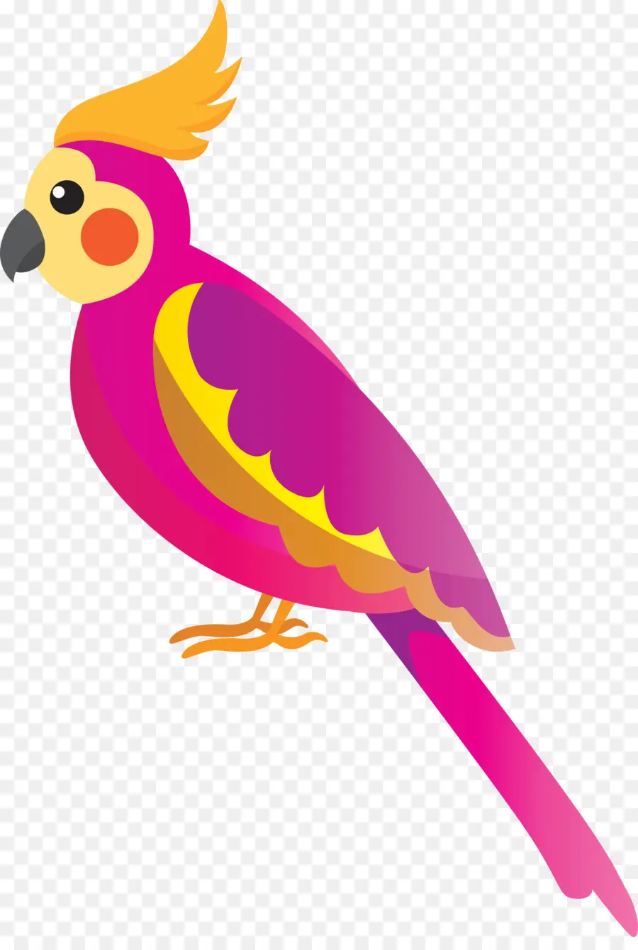 Ayam，Burung Beo PNG