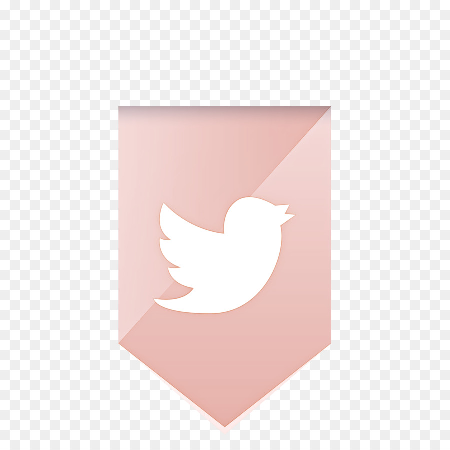 Logo Twitter，Media Sosial PNG