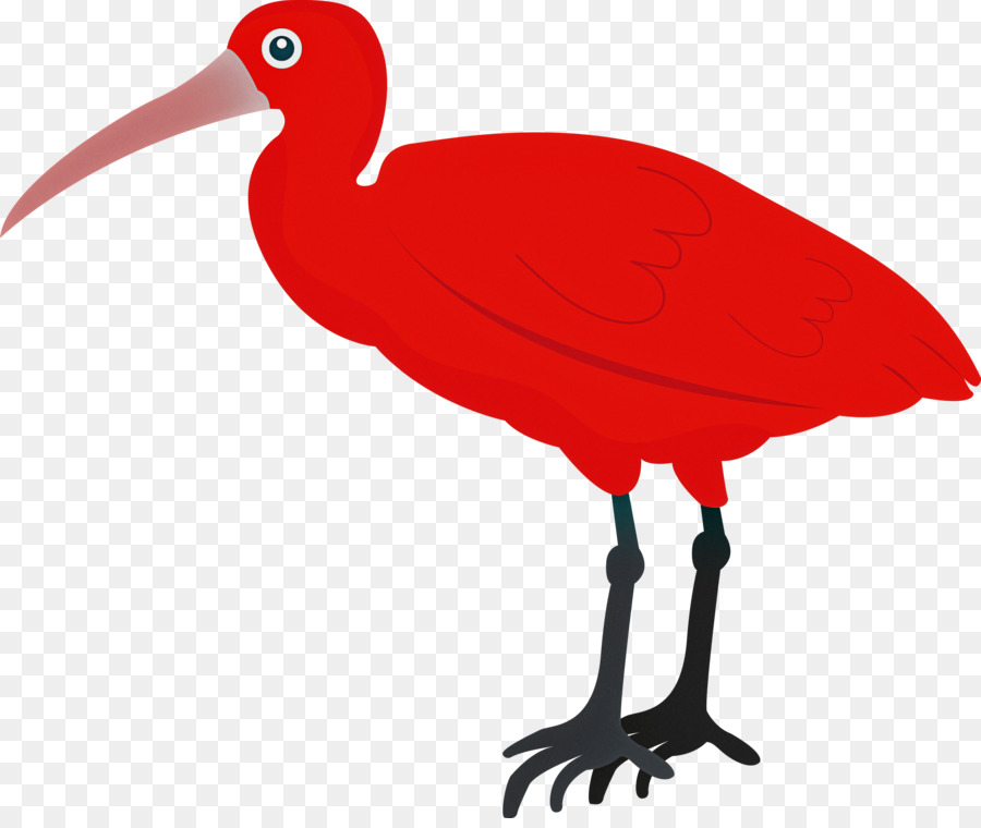 Burung Merah，Ibis Merah PNG