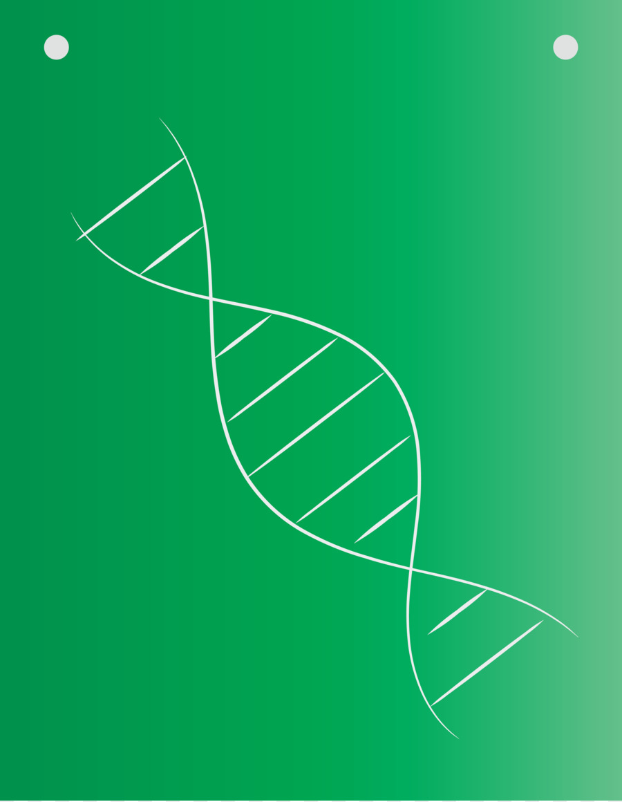 Untai Dna，Genetika PNG