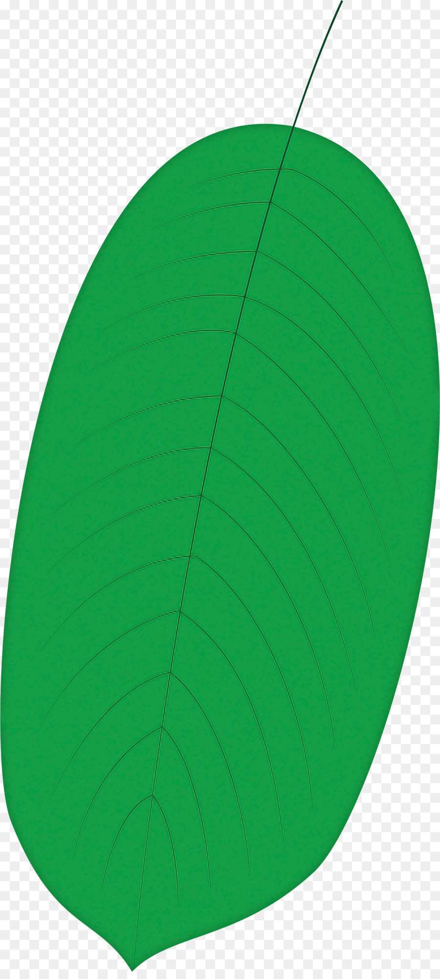 Daun，Hijau PNG