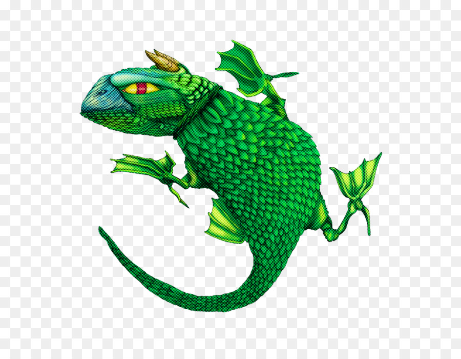 Katak，Reptil PNG