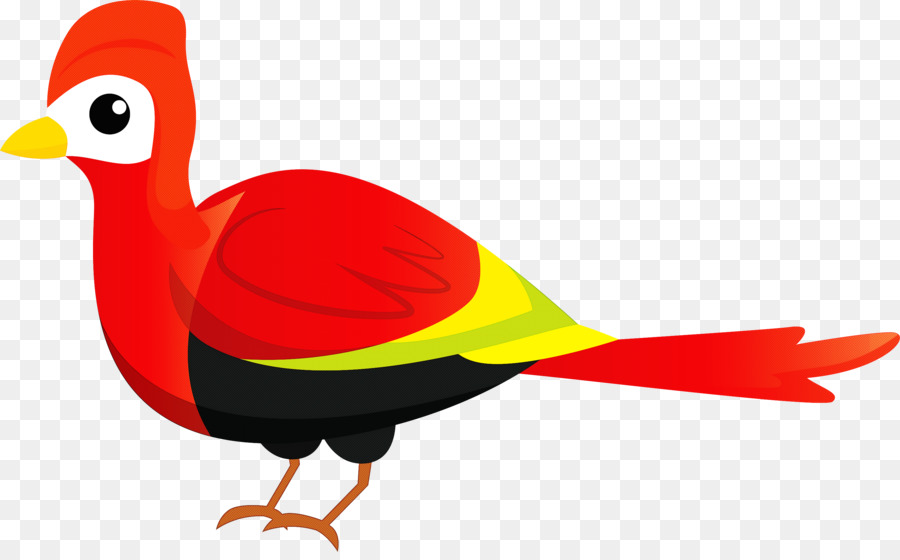 Burung Berwarna Warni，Bulu PNG