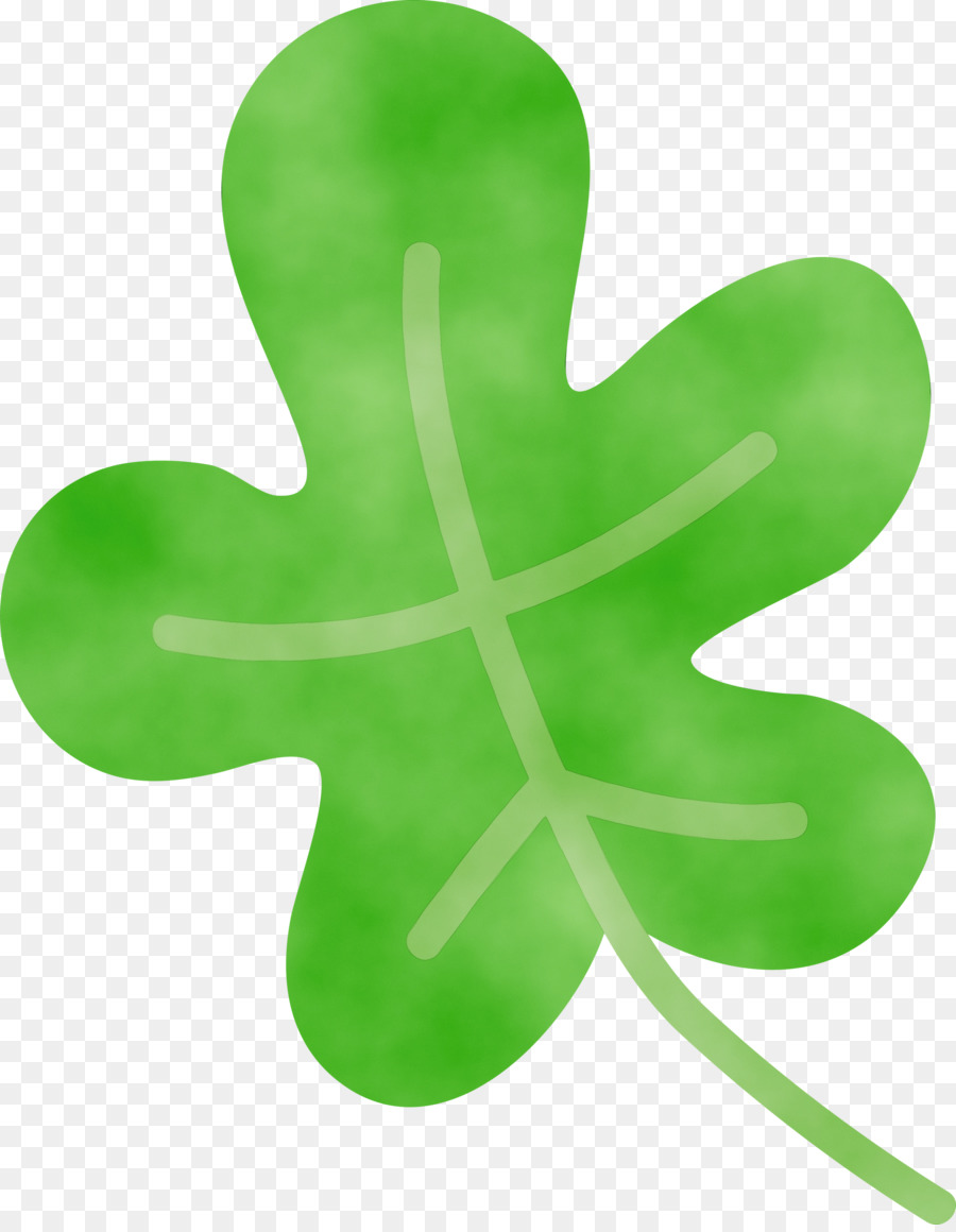 Daun，Shamrock PNG