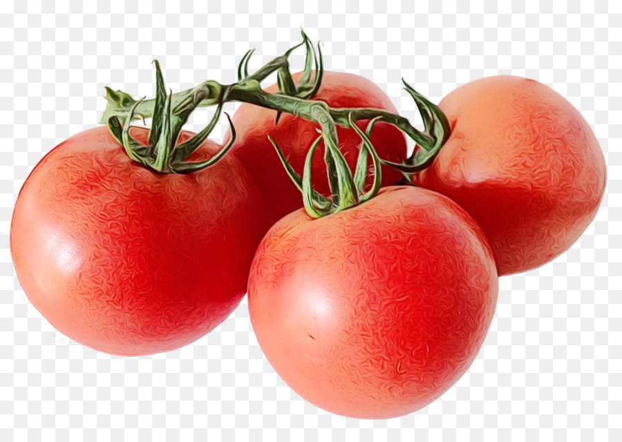 Masakan Vegetarian，Tomat PNG