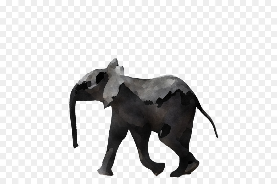 Gajah India，Gajah Afrika Bush PNG