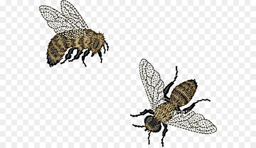 Lebah Madu，Serangga PNG