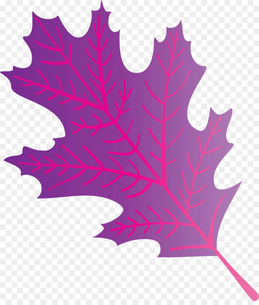 Daun Maple，Daun PNG