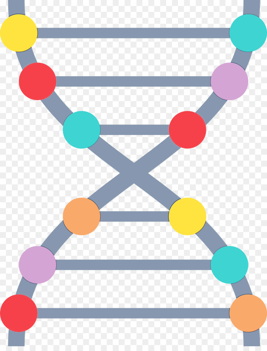 Dna，Asam Nukleat Double Helix PNG