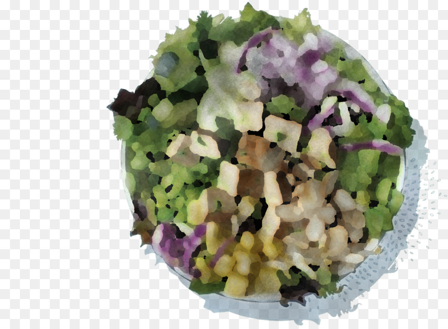 Masakan Vegetarian，Salad PNG