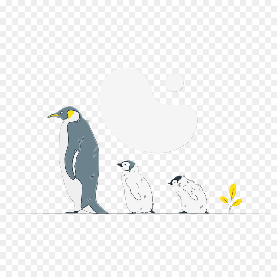 Penguin，Burung PNG