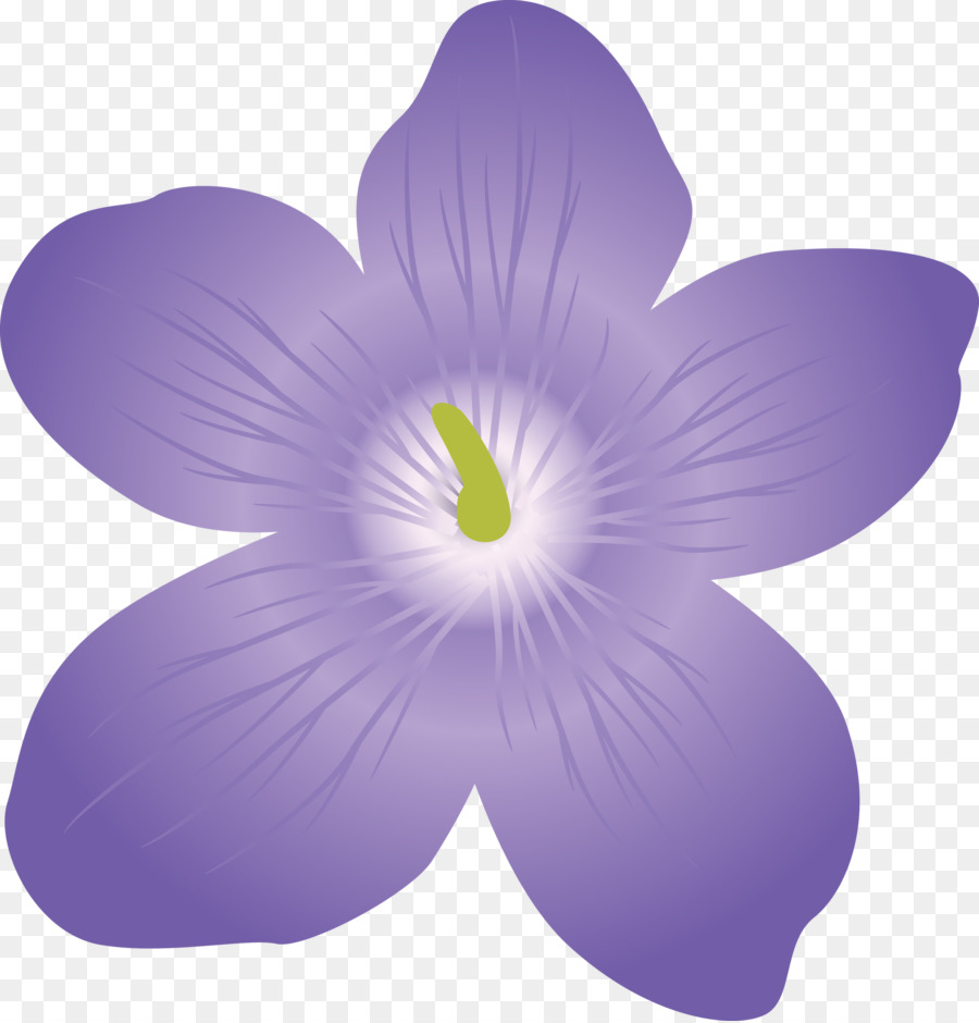 Tanaman Herba，Lavender PNG