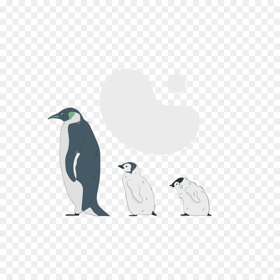 Penguin，Burung PNG