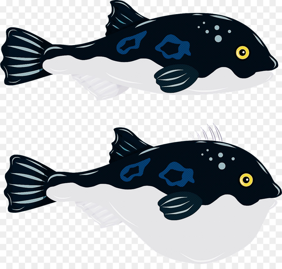 Biru Kobalt，Ikan PNG