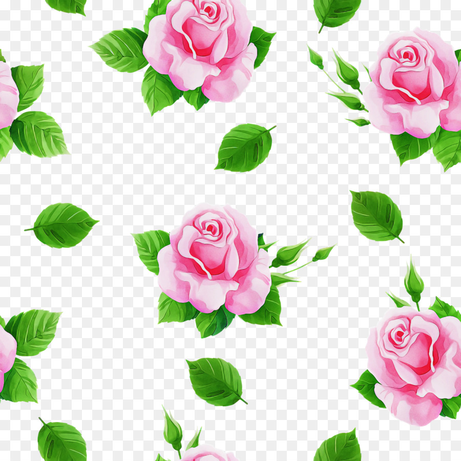 Mawar Taman，Potong Bunga PNG