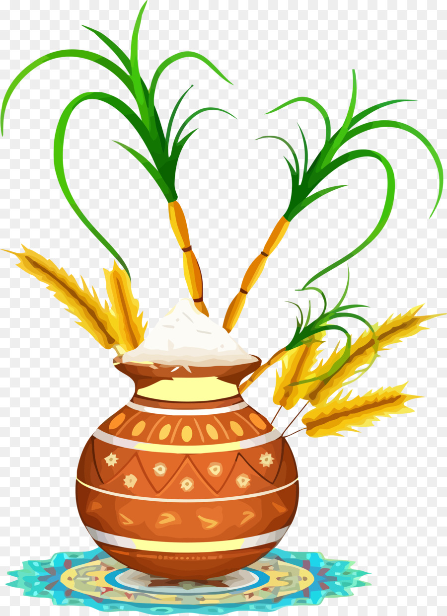 Pongal，Makar Sankranti PNG