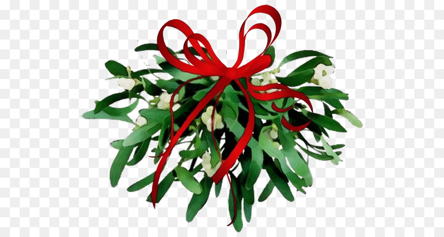 Mistletoe，Pita Merah PNG